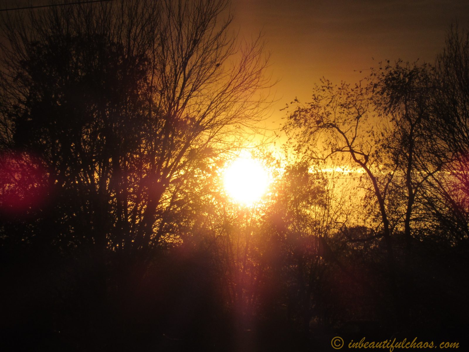 I Rested Sunset Rest - In Beautiful Chaos