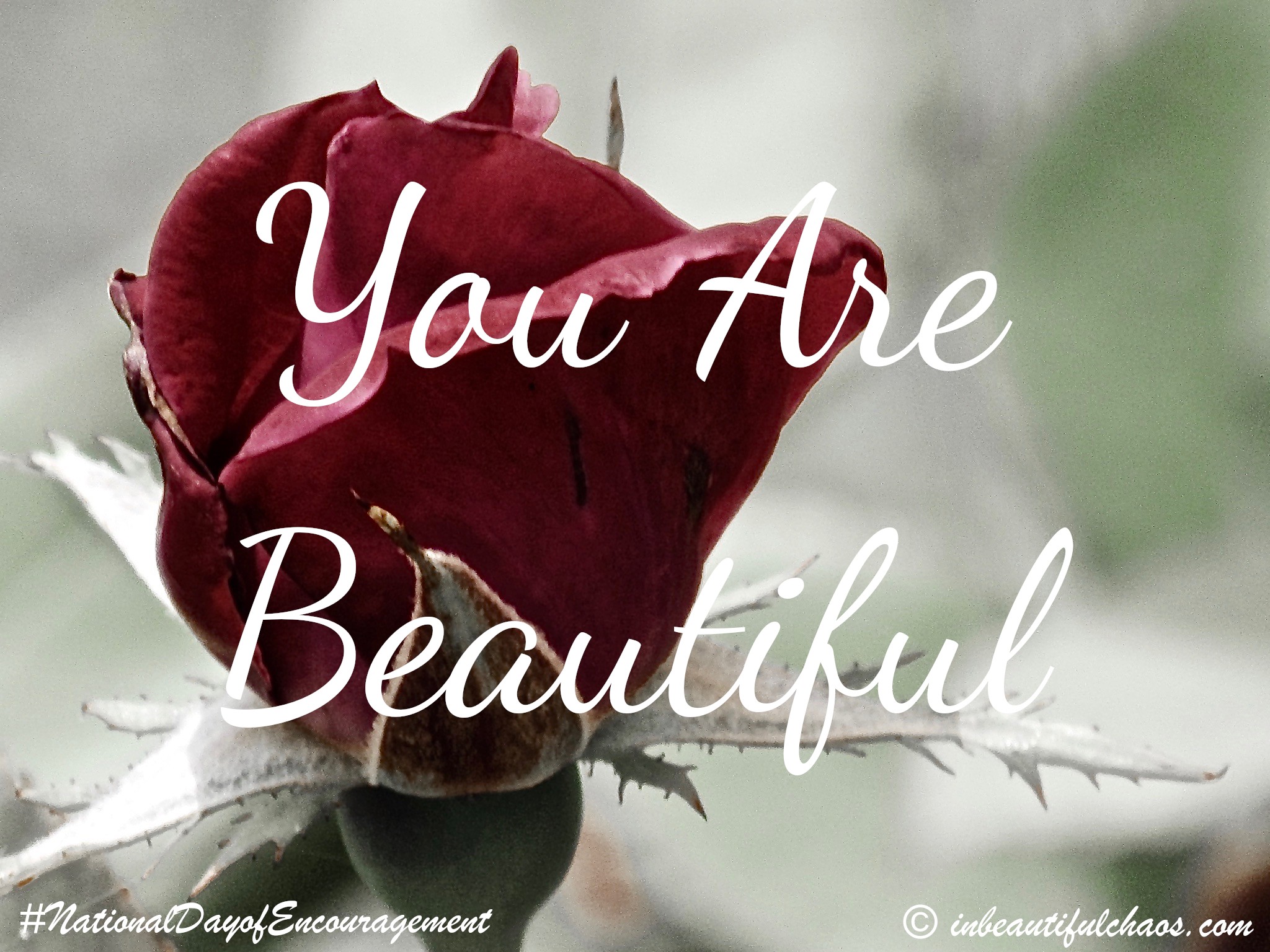 You Are Beautiful