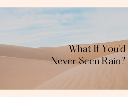 What If You'd Never Seen Rain?